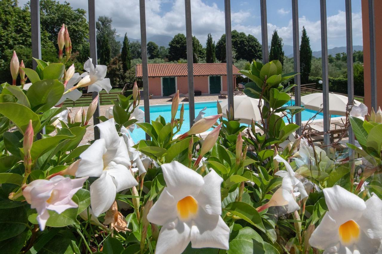 Relais Villa Isabel Pietrasanta Exterior foto